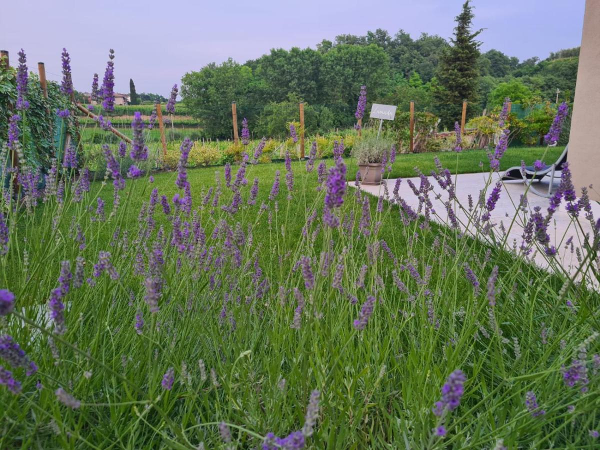 Residence Le Aromatiche Cavaion Veronese Εξωτερικό φωτογραφία