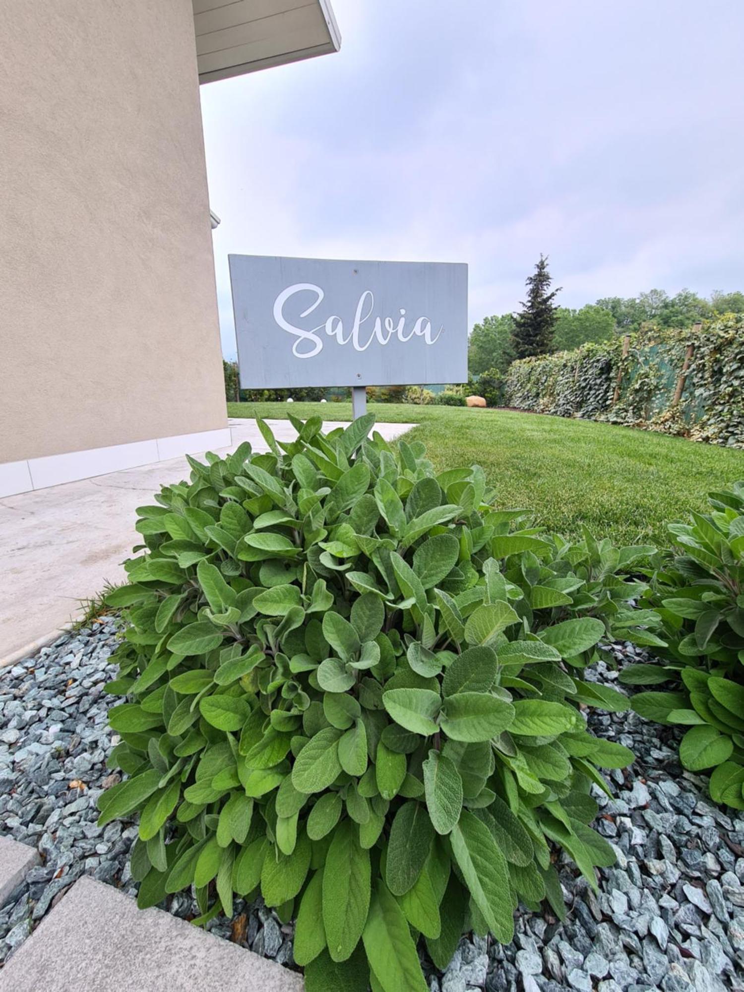 Residence Le Aromatiche Cavaion Veronese Δωμάτιο φωτογραφία